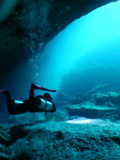 Riviera Maya Diving