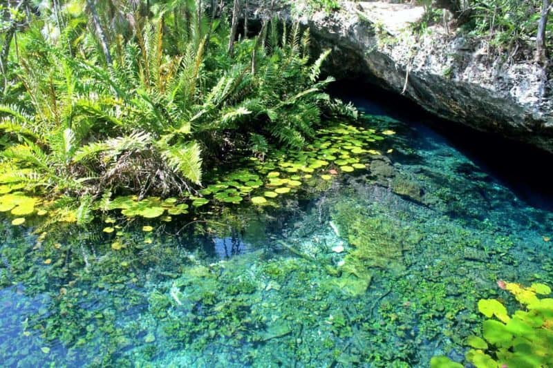 Cenote Nicte Ha