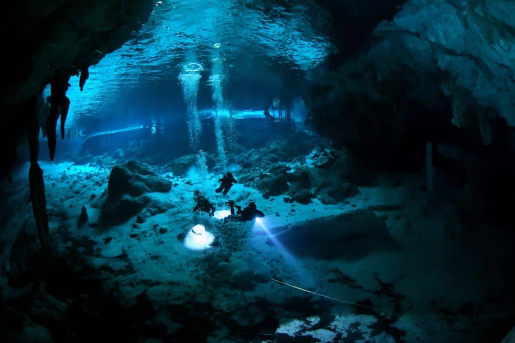 Dive In Cenotes The Pit & Dos Ojos - 2 Dives - Top Adventure