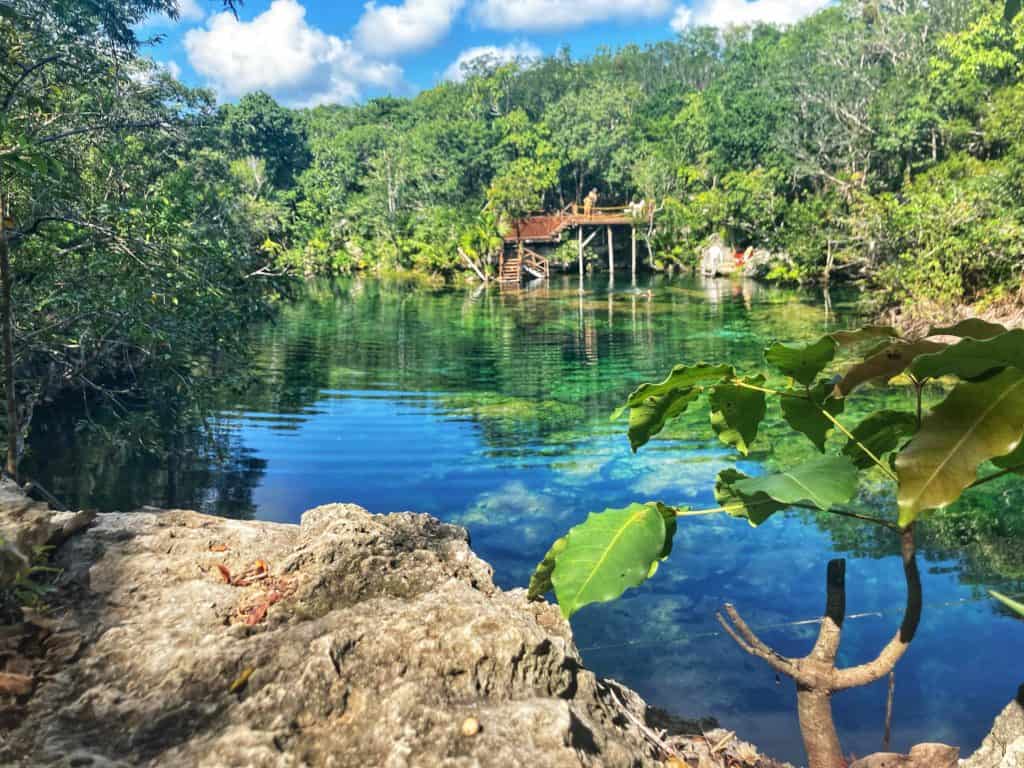 Cenote Garden of Eden Snorkeling Playa del Carmen