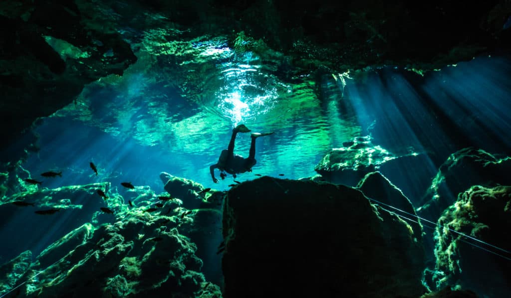 Cenote Garden of Eden