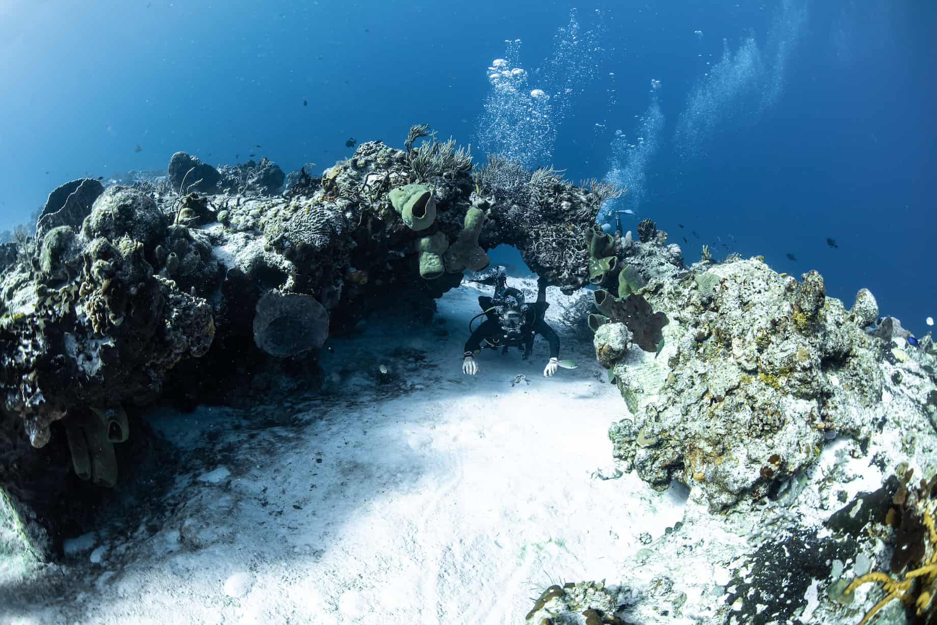 Scuba Diving Package The Best Of The Riviera Maya Divepoint Mexico