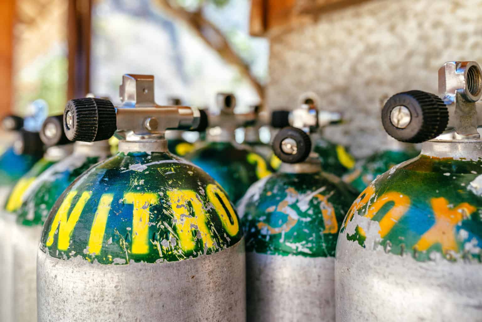 27 Common Scuba Acronyms You Need To Learn Divepoint Mexico