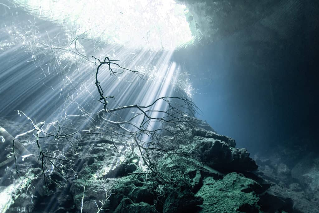 Cenote Garden of Eden