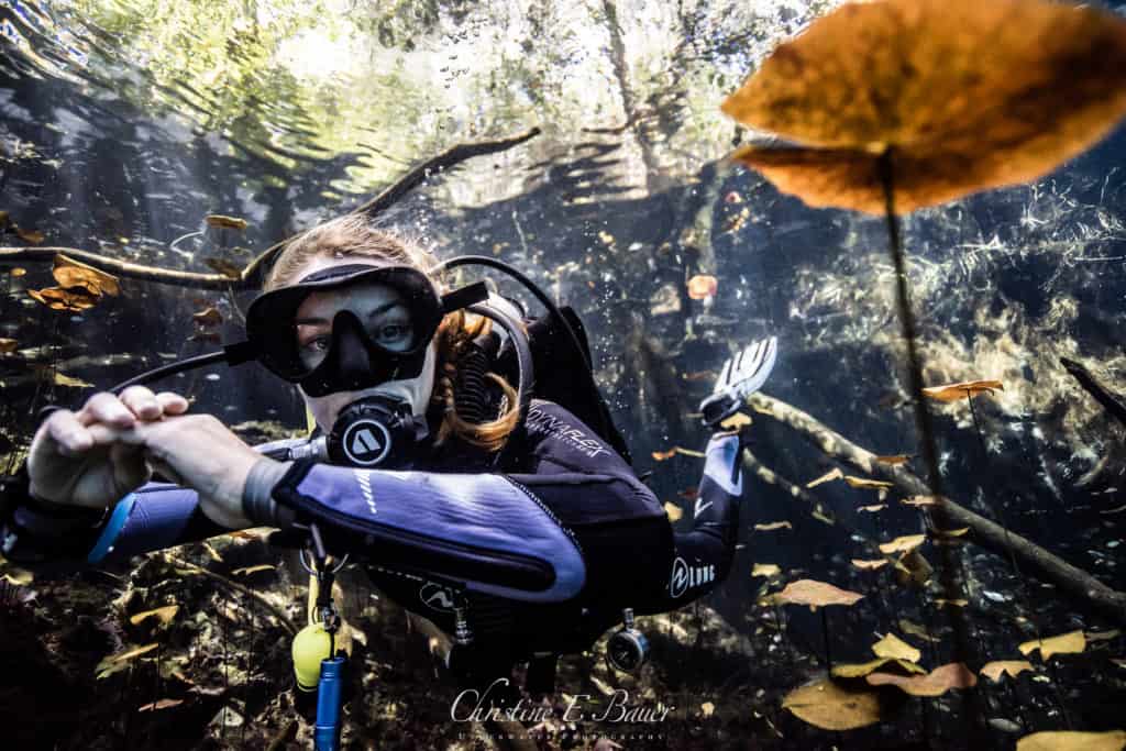 Cenote Carwash