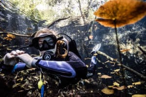 Cenote Carwash