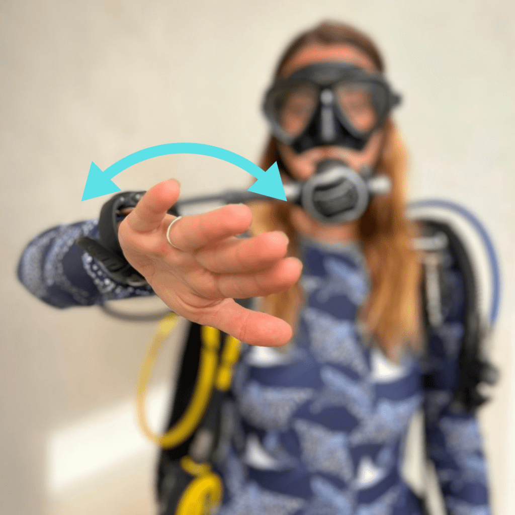 19 Most Common Scuba Hand Signals You Need To Know Divepoint Mexico 19 Most Common Scuba Hand Signals You Need To Know Divepoint Mexico