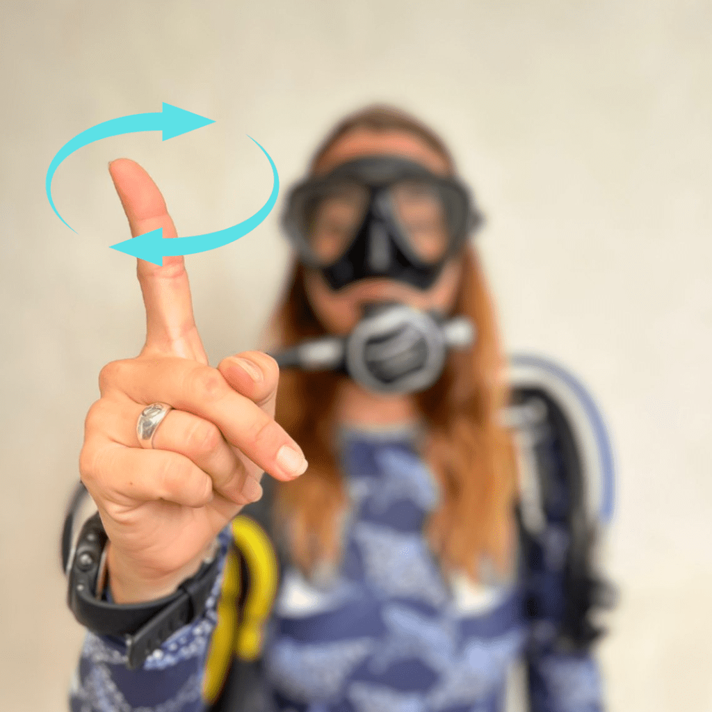 19 Most Common Scuba Hand Signals You Need To Know Divepoint Mexico 19 Most Common Scuba Hand Signals You Need To Know Divepoint Mexico