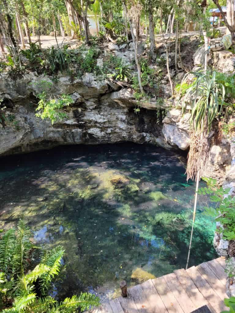 Cenote diving package dreamgate