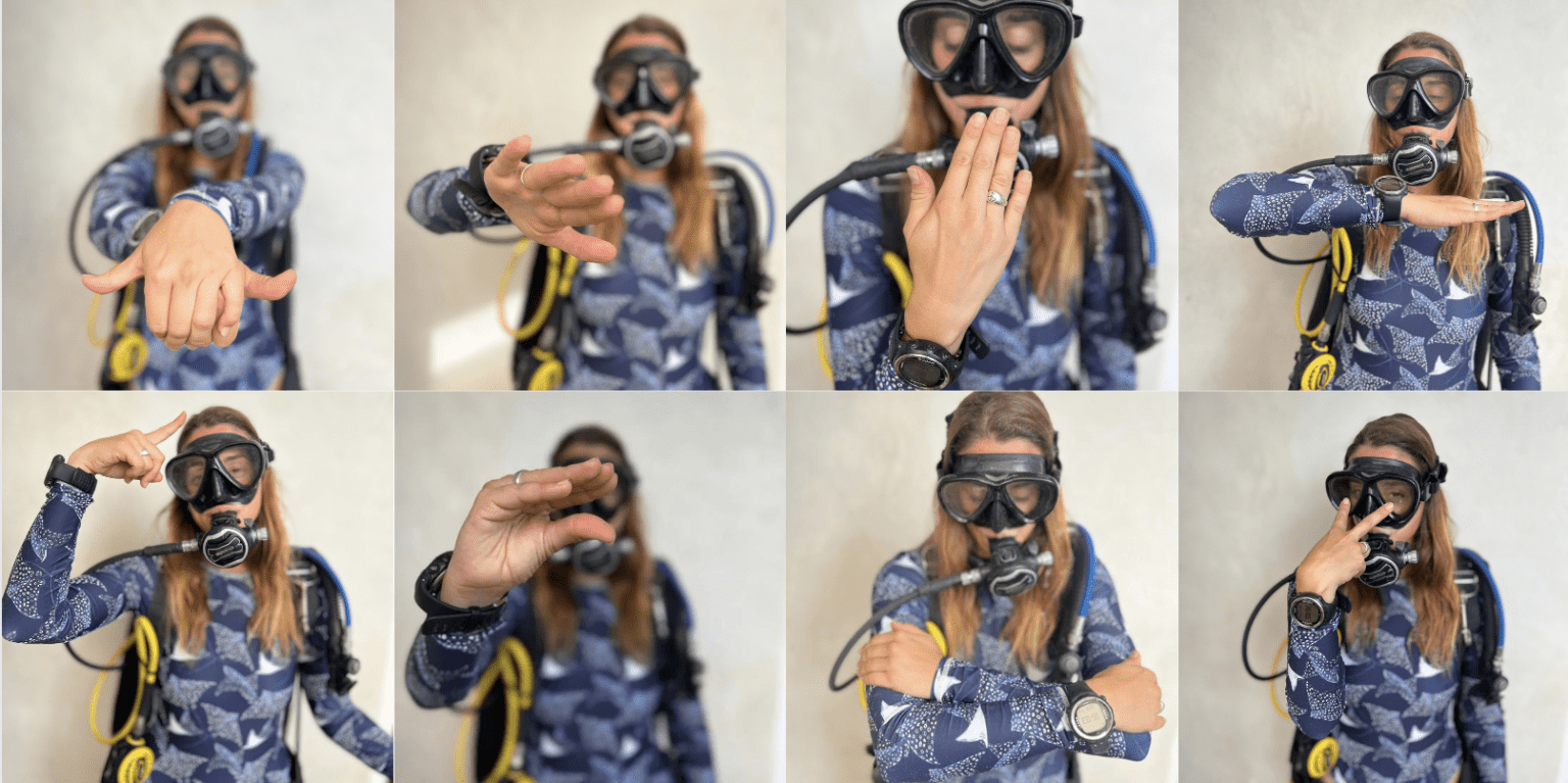 19 Most Common Scuba Hand Signals You Need To Know Divepoint Mexico 19 Most Common Scuba Hand Signals You Need To Know Divepoint Mexico