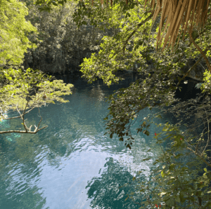 Angelita Cenote from above