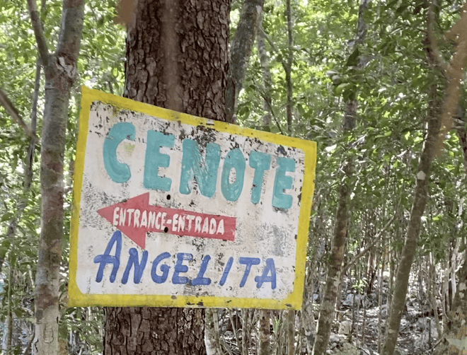 cenote diving package cenote angelita sign