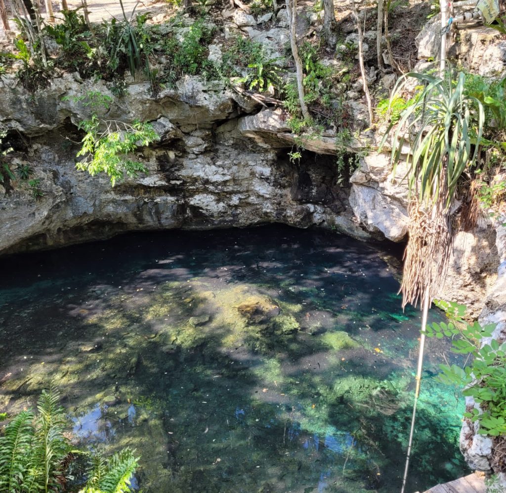 Diving Cenote Dreamgate Tulum 