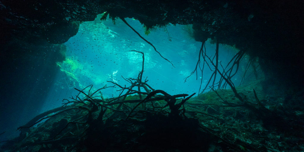 Carwash Cenote Diving in Tulum 