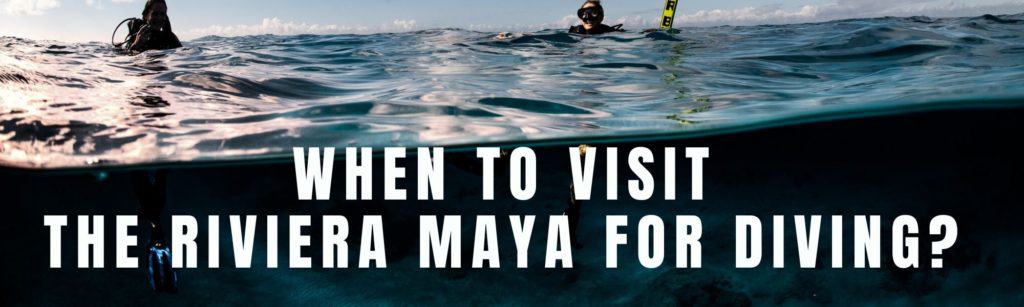 When is the best time to visit the riviera maya for diving?