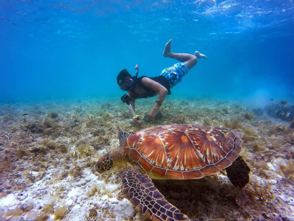 Snorkeling Playa del Carmen